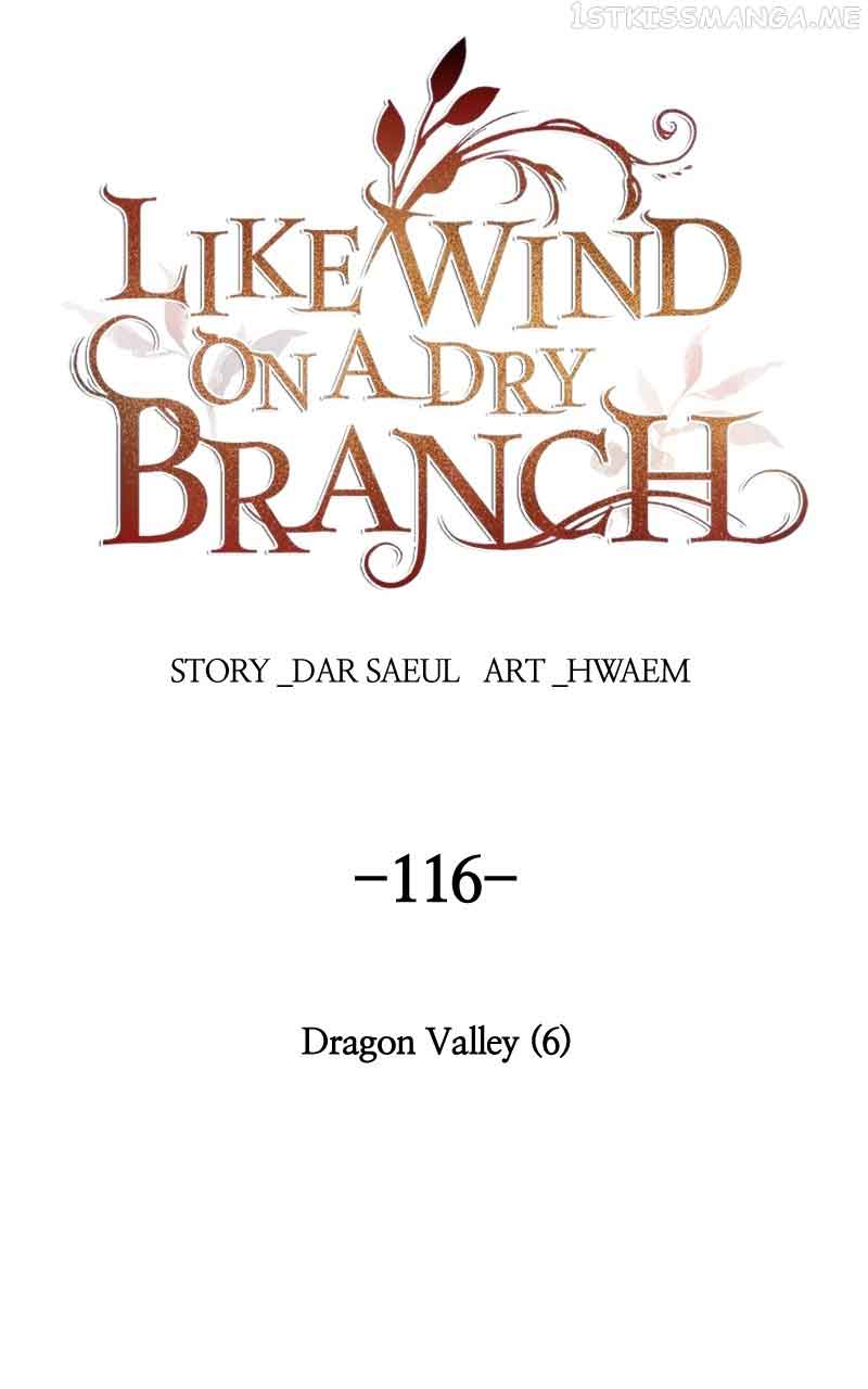 Like A Wind On A Dry Branch chapter 116