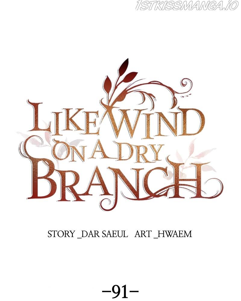 Like A Wind On A Dry Branch chapter 91