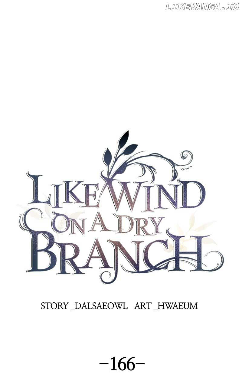 Like A Wind On A Dry Branch chapter 166