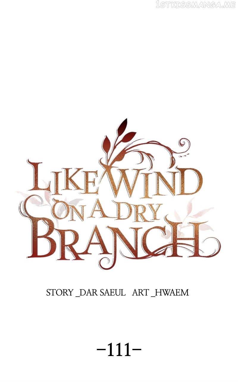 Like A Wind On A Dry Branch chapter 111