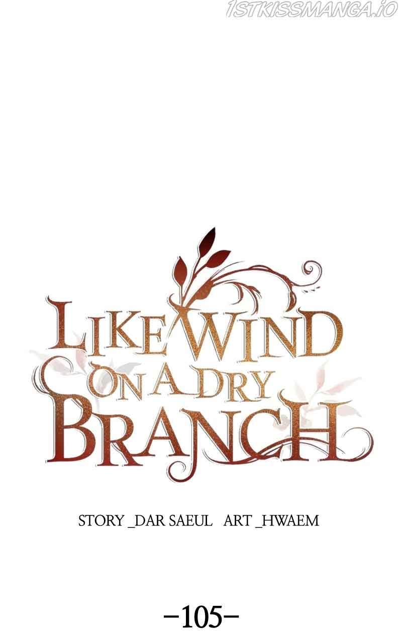 Like A Wind On A Dry Branch chapter 105