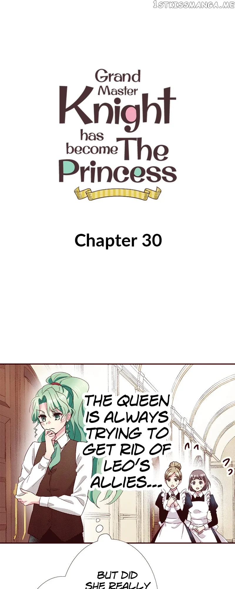 Grand Master Knight Has Become the Princess chapter 30