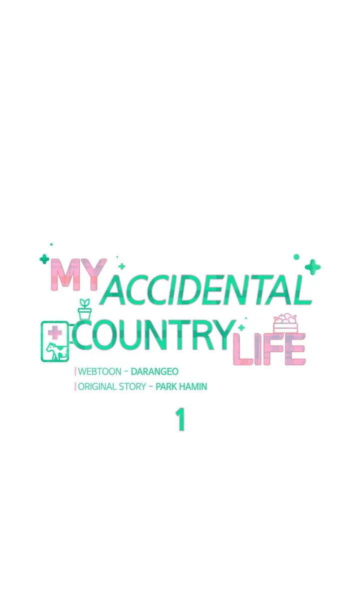 My Accidental Country Life chapter 1