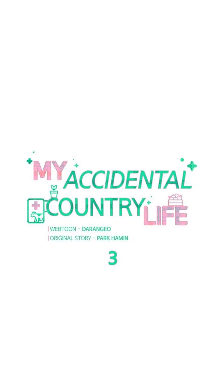 My Accidental Country Life chapter 3