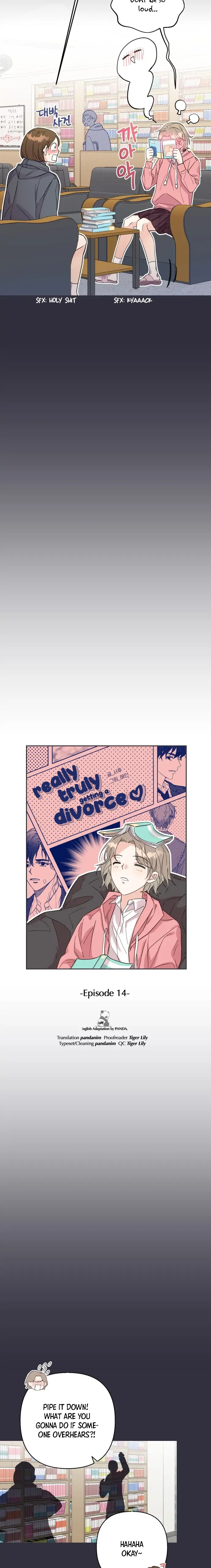 Really Truly Getting a Divorce chapter 14