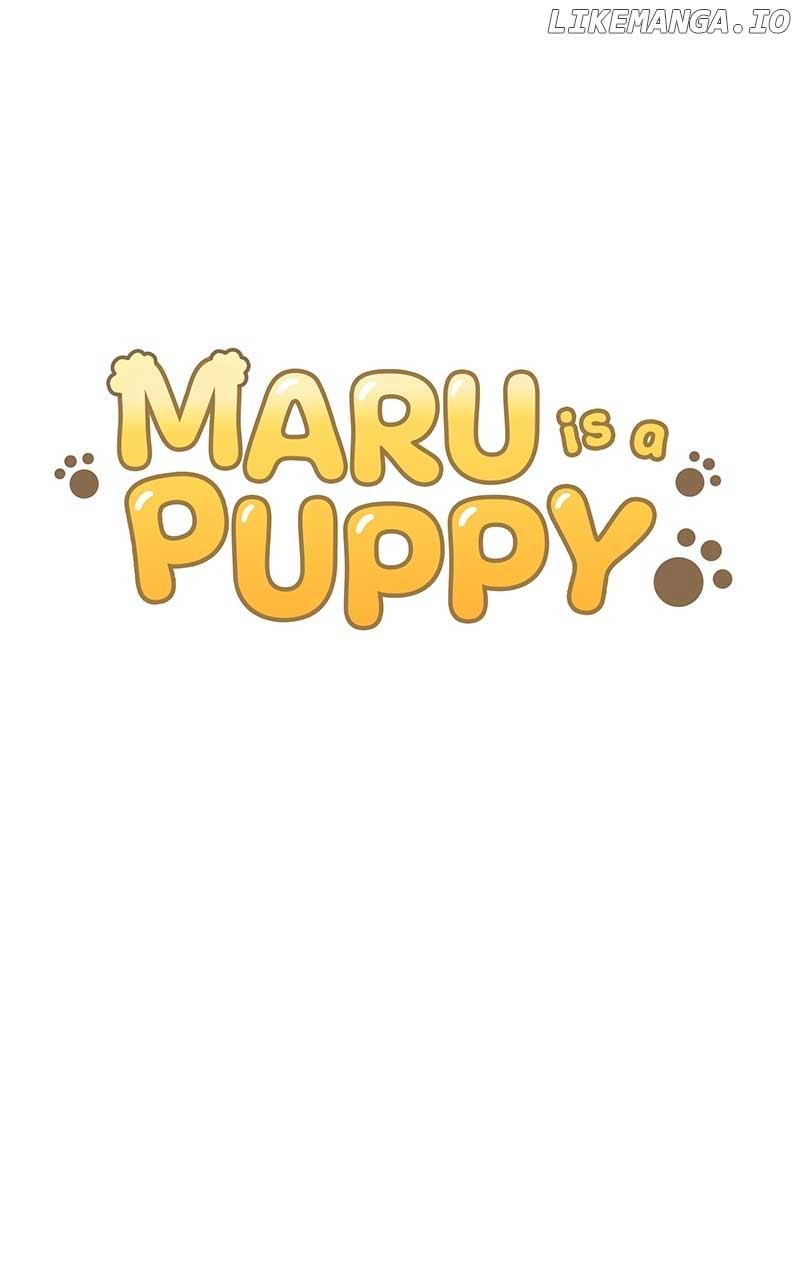 Maru is a Puppy chapter 29
