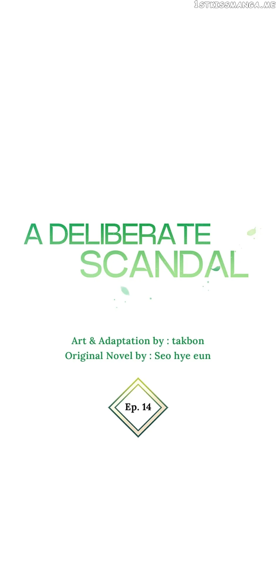 Deliberate Scandal chapter 14