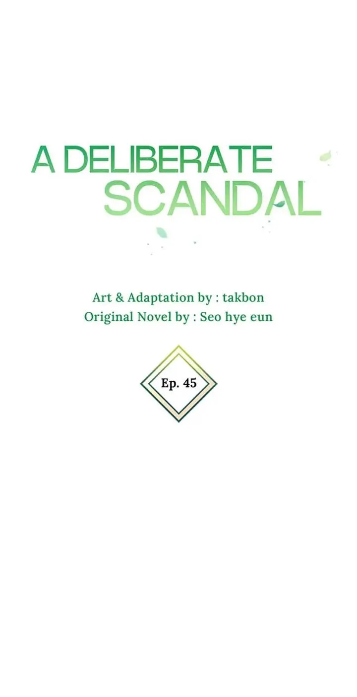 Deliberate Scandal chapter 45