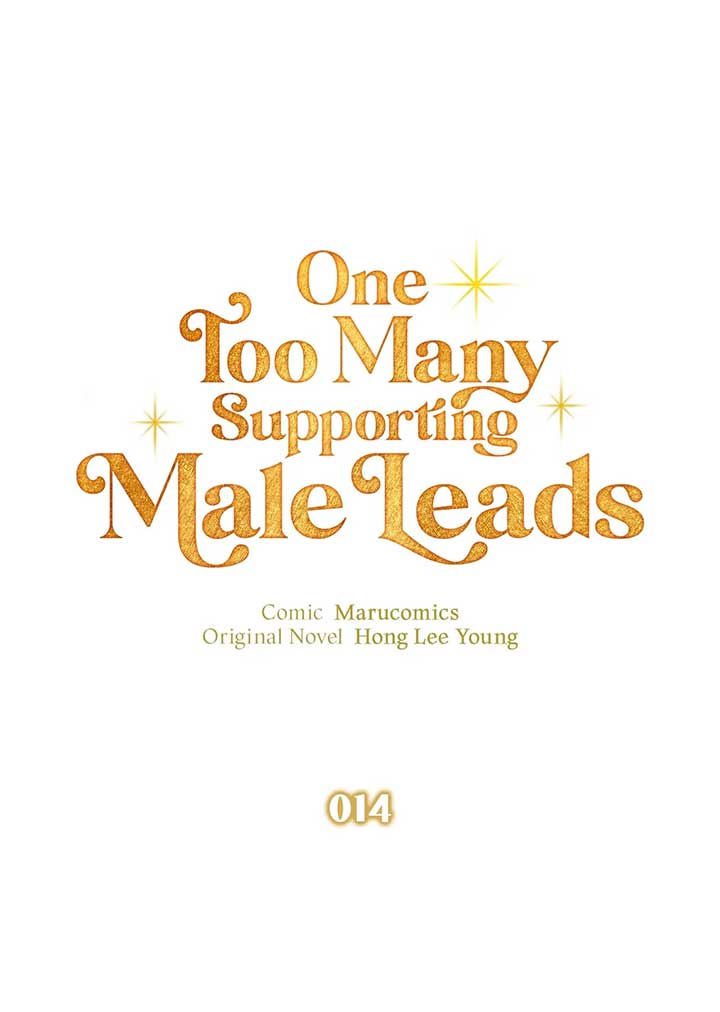 There Are Too Many Second Male Leads! chapter 14