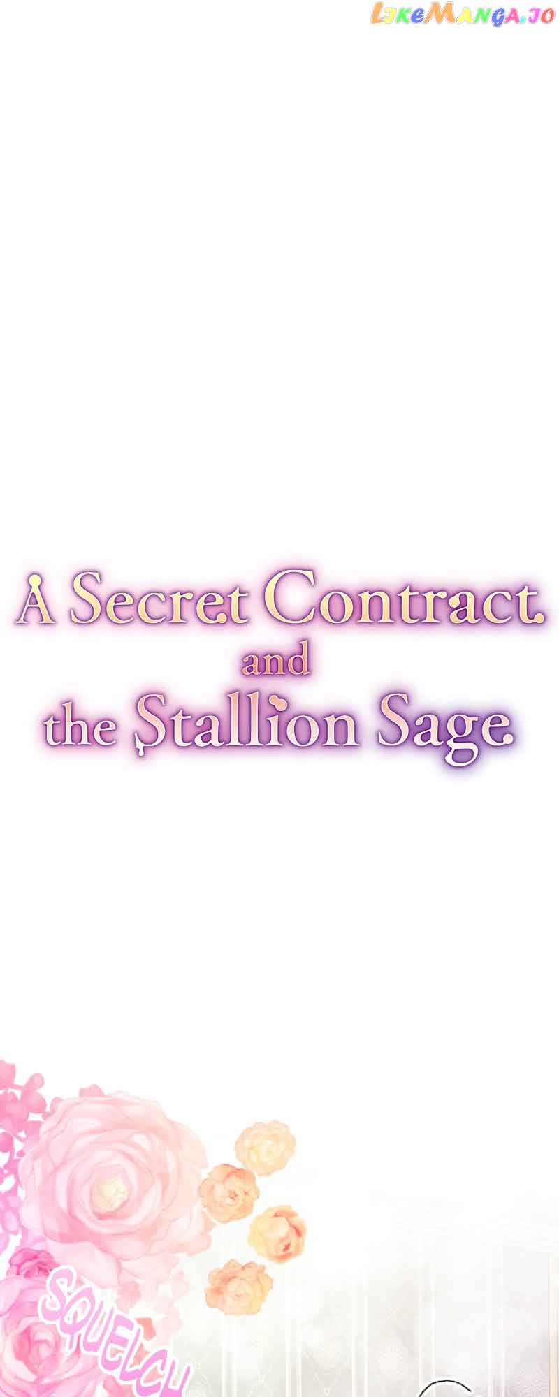 A Secret Contract and the Stallion Sage chapter 19