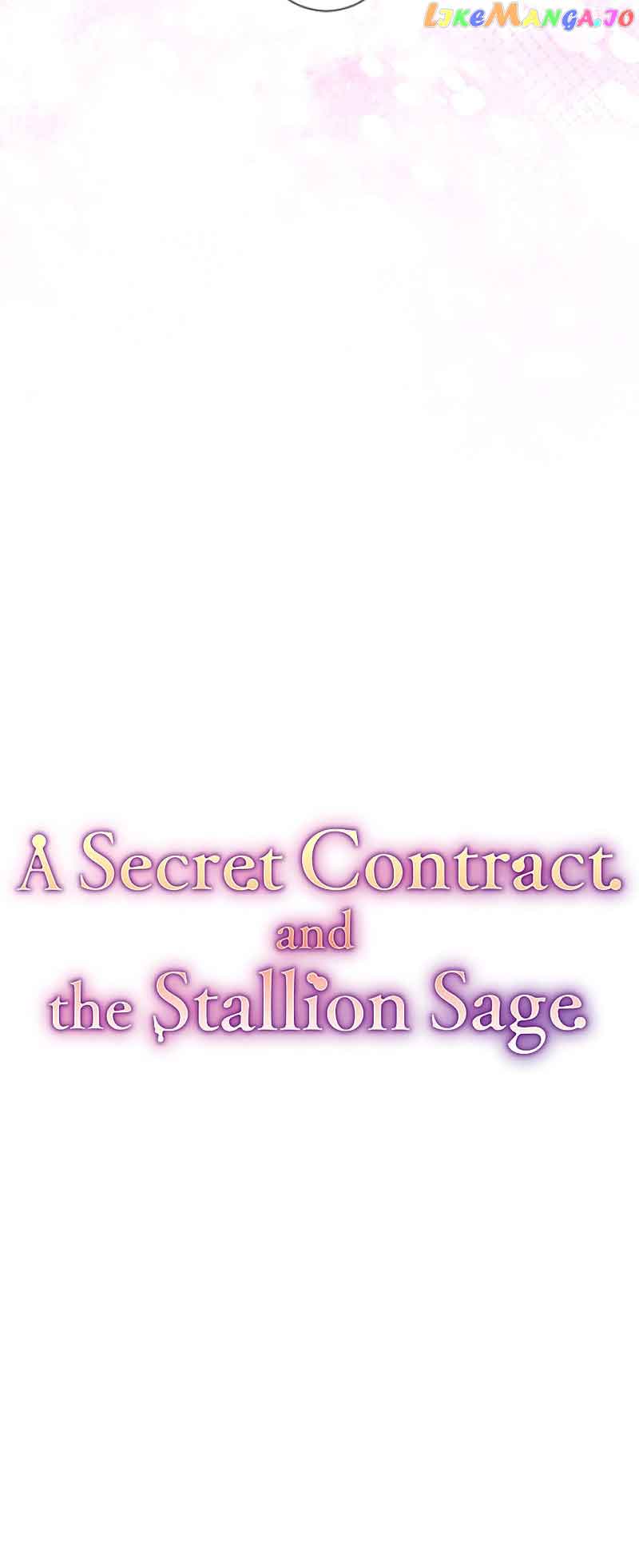 A Secret Contract and the Stallion Sage chapter 15