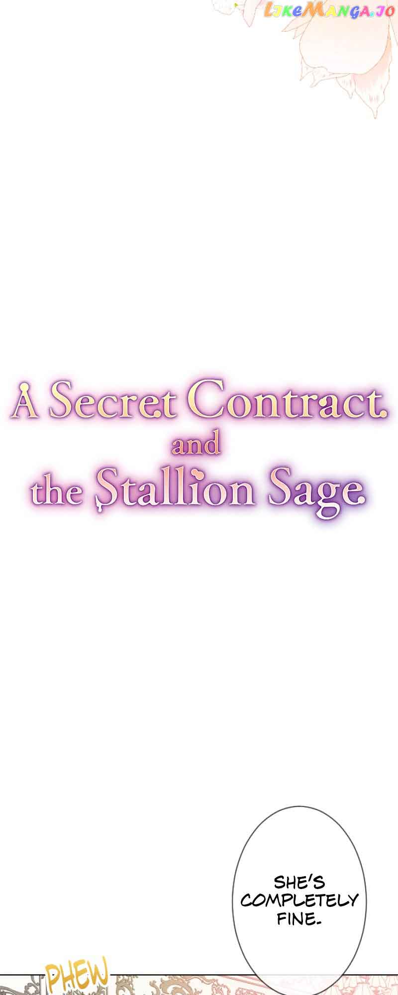 A Secret Contract and the Stallion Sage chapter 16