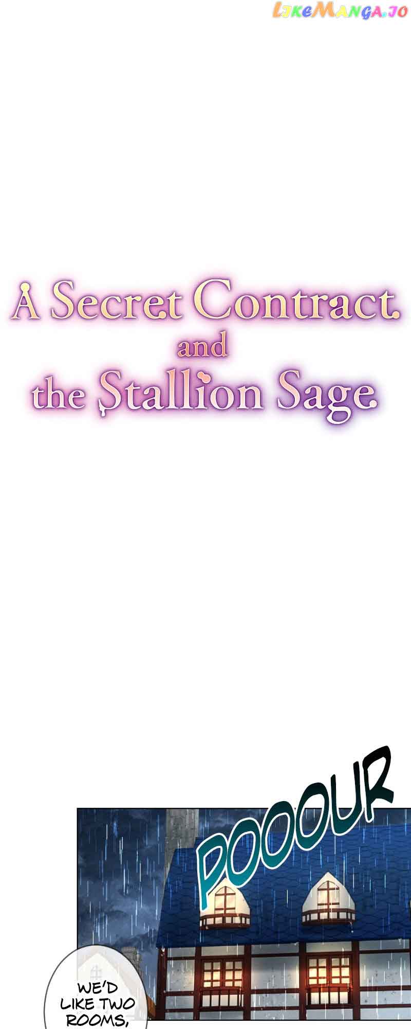 A Secret Contract and the Stallion Sage chapter 7