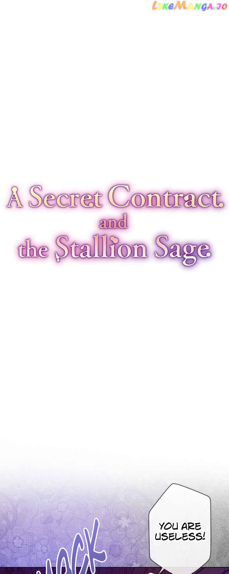 A Secret Contract and the Stallion Sage chapter 12
