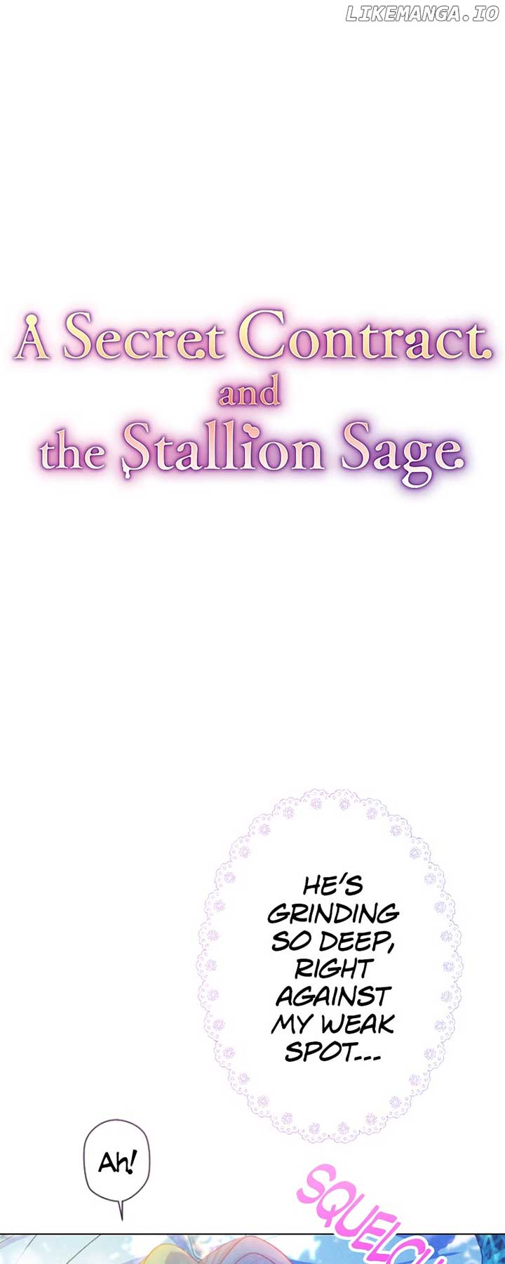 A Secret Contract and the Stallion Sage chapter 35
