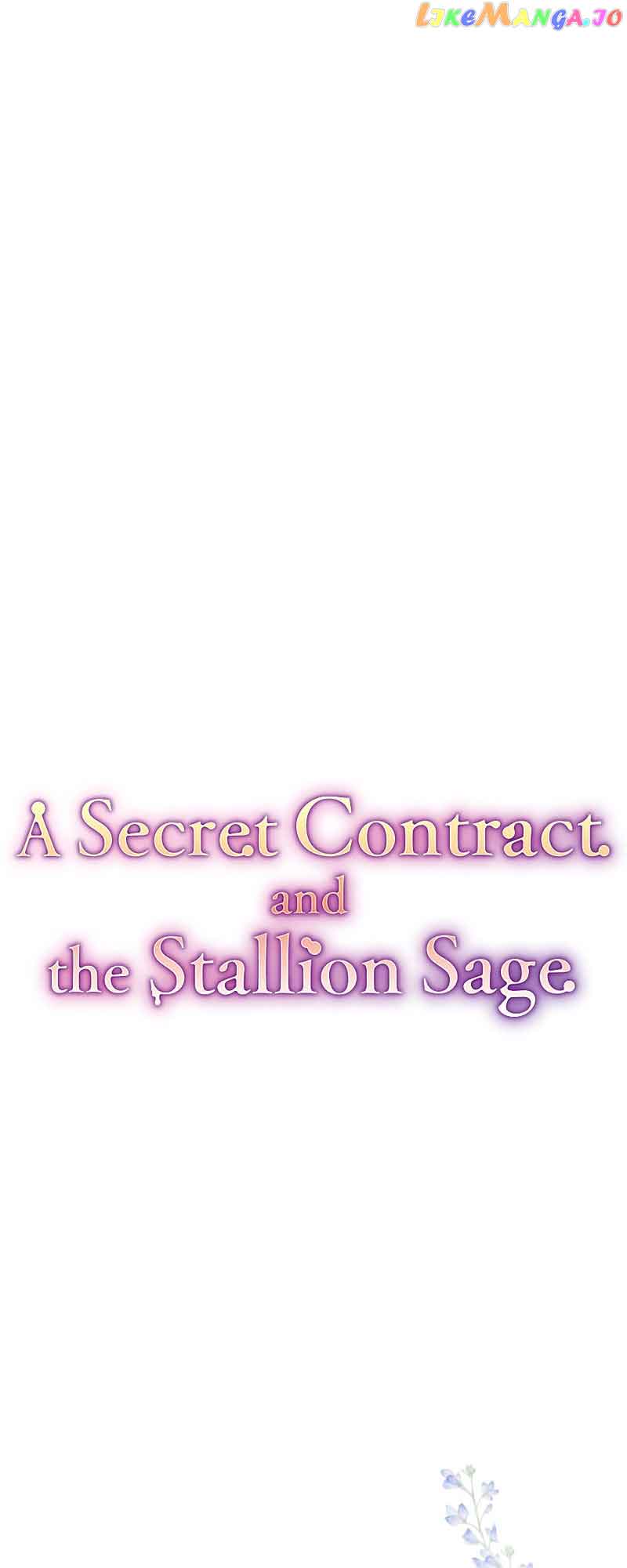 A Secret Contract and the Stallion Sage chapter 5