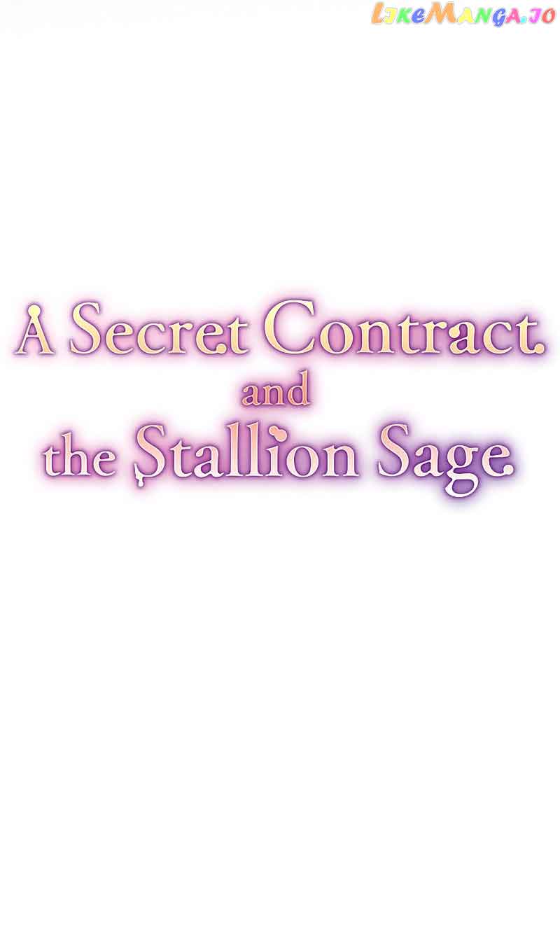 A Secret Contract and the Stallion Sage chapter 13