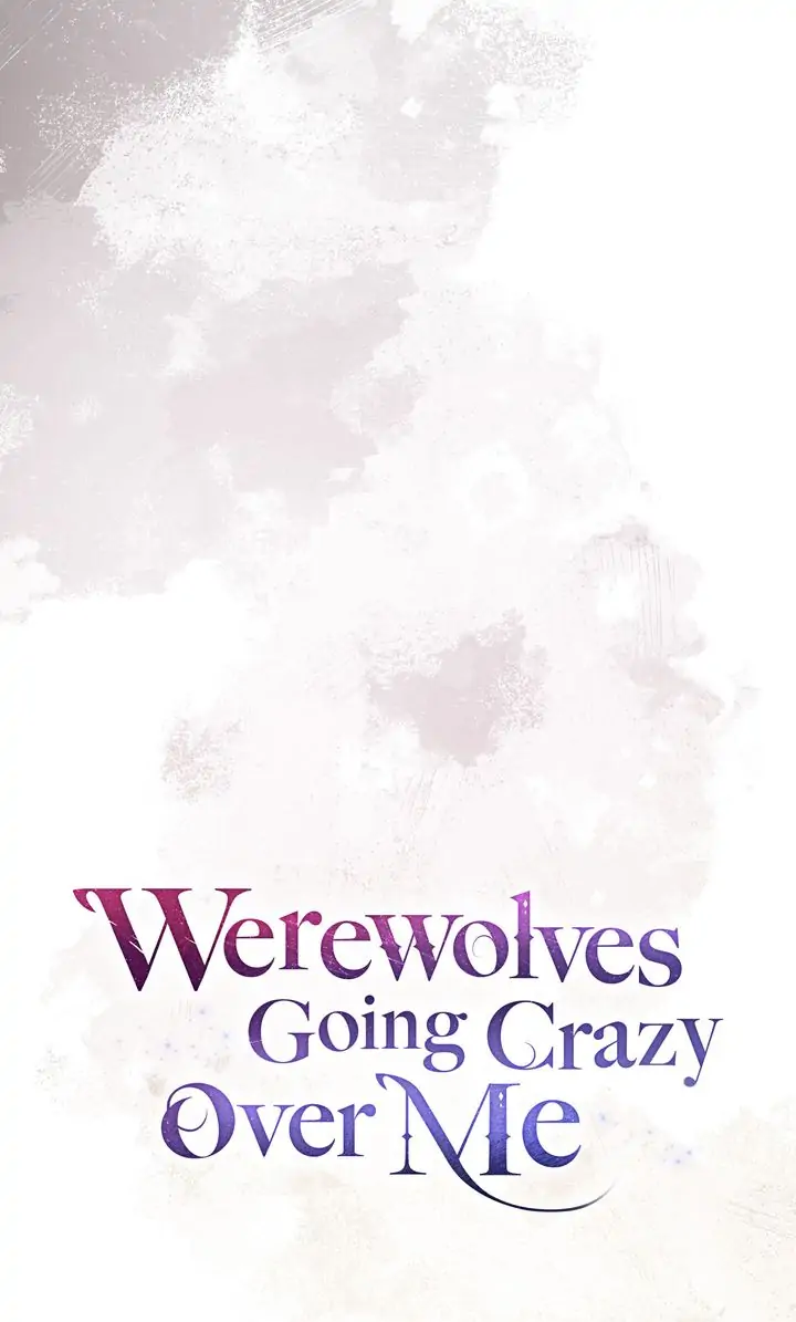 Werewolves Going Crazy over Me chapter 16