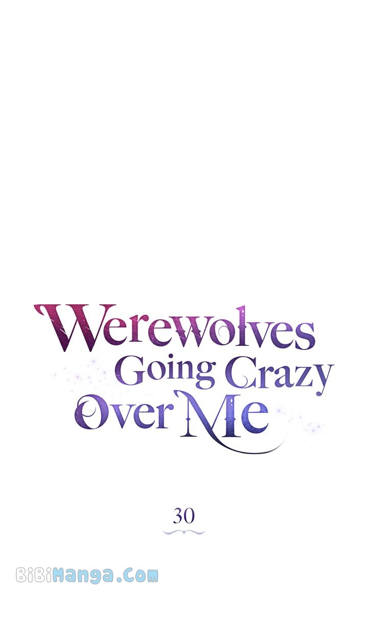 Werewolves Going Crazy over Me chapter 30