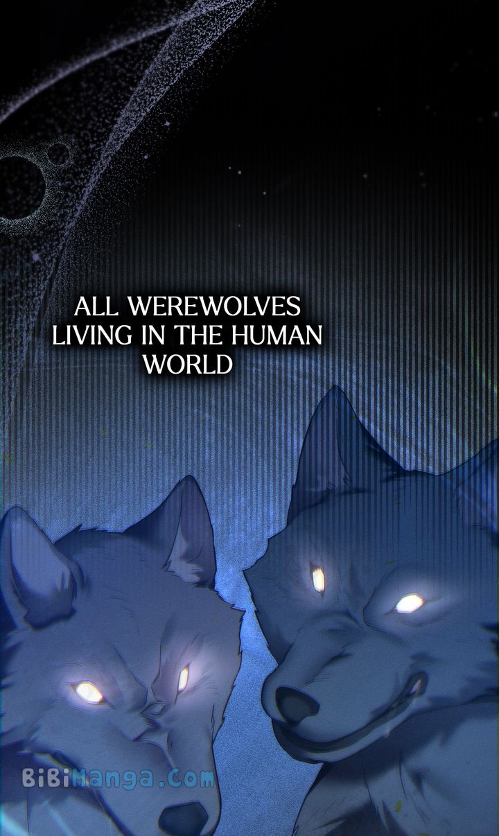 Werewolves Going Crazy over Me chapter 30