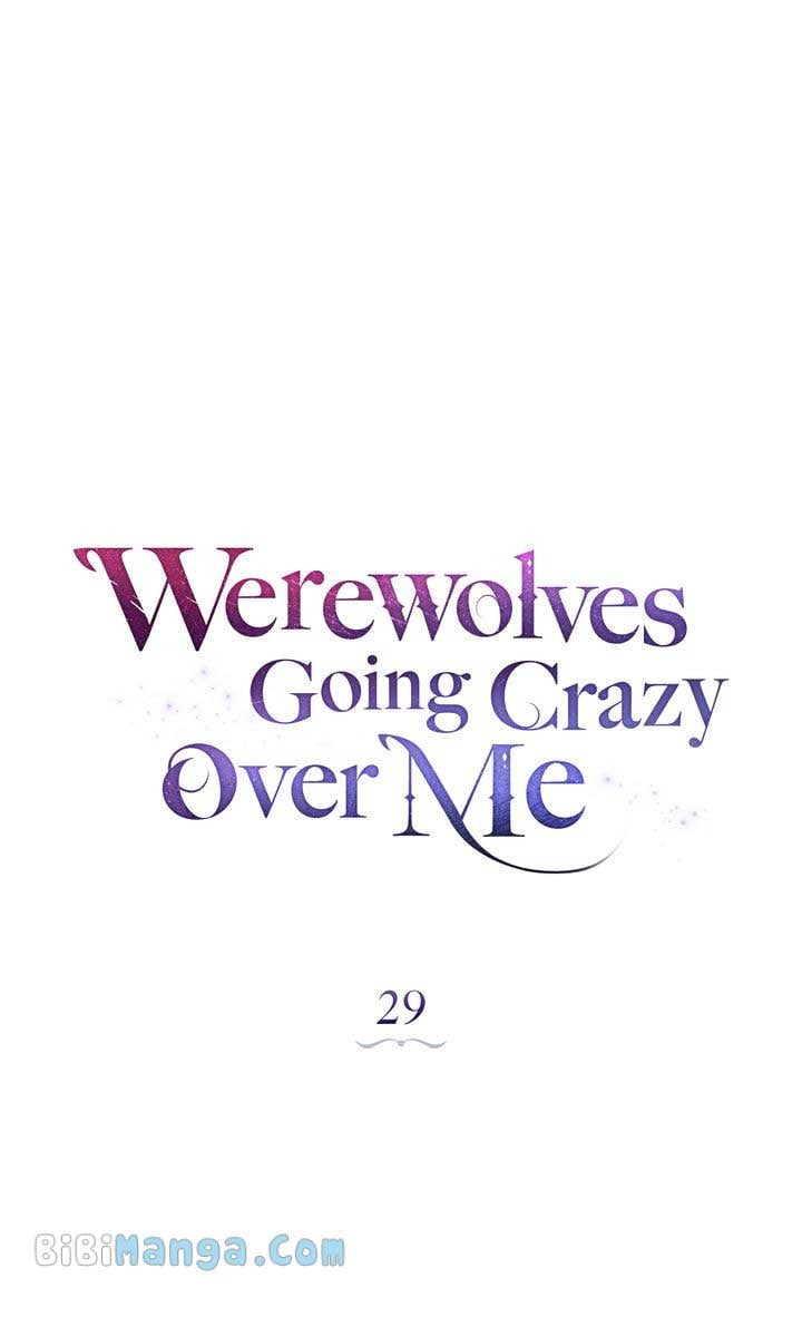 Werewolves Going Crazy over Me chapter 29