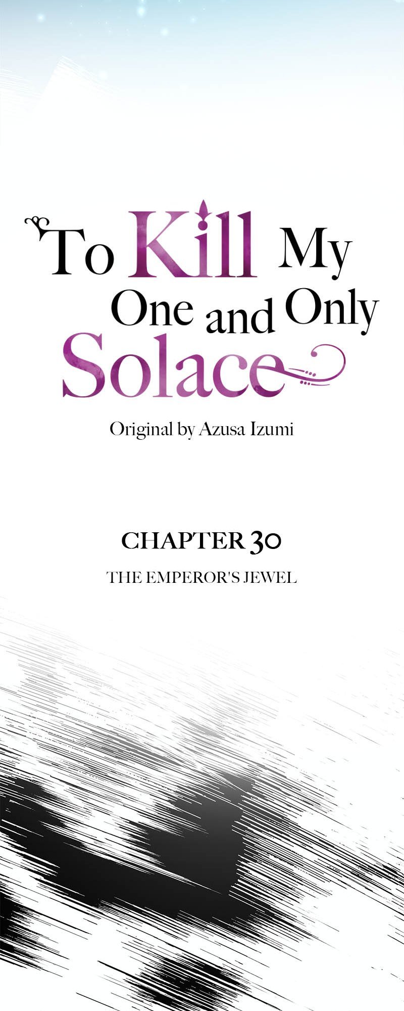 To Kill My One and Only Solace chapter 30
